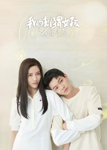 我的刺猬女孩之念念不忘