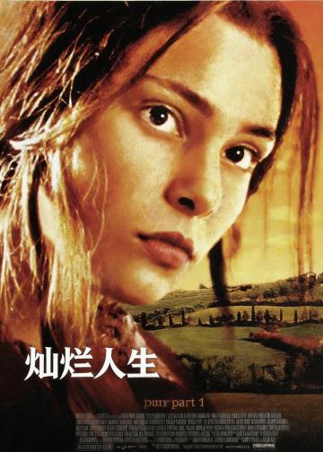 灿烂人生