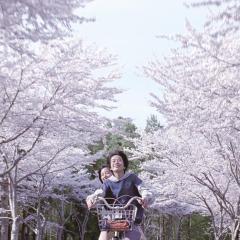 海街日记 - 1bXjHfrGaTINGo2kwhp5hJdyi3R.jpg