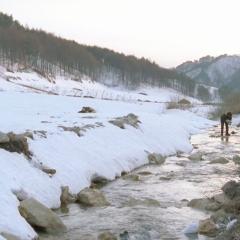 春逝 - vpIhELEuH0z8cB996eubVcFeEKV.jpg