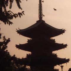 鬼畜 - tCDtXR5PUlhMIXn0LenEfvBhUML.jpg