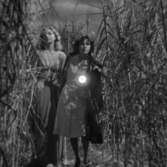 与僵尸同行 - bCyK6eETwA6kzxLxDDuwJ3l7Wdw.jpg
