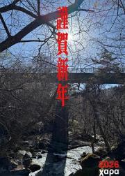 新世纪福音战士 30周年新作动画