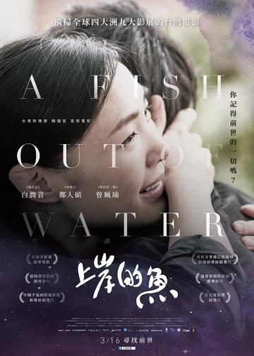 上岸的鱼