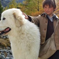 灵犬雪莉 - a9quMrUTdE1uCfQ6fLYS0RjJrGe.jpg