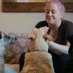 爱犬科迪：与往事告别 - r8buwQLUEL4zRs9a2dY3ElDQy7q.jpg