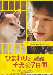 向日葵与幼犬的7天
