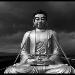 大佛普拉斯 - xgdPDaxnEGuP0S8VHiOQa552jIo.jpg