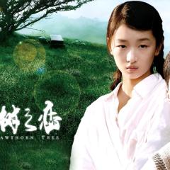 山楂树之恋 - b9N4O94Wpr7P6fNcyYWrnTxX9av.jpg