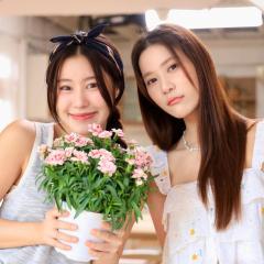 冥王星爱恋 - m8g6reN5YABUphmJTs62OOzGSvM.jpg
