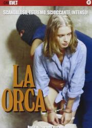 奥卡
