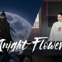 夜晚开的花 - 1jVaVazgfoVUuPF5UlUE7FnNIux.jpg