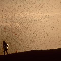 火山挚恋 - ytjkIRobA6YVVk3cjSEuWUvTm3q.jpg