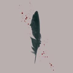 Black Bird - dXiHf4tBycGb0H7G3D55hnt1j4N.jpg