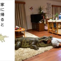每天回家都会看到老婆在装死 - 2rRIs1SBV5dQcHGE2kFFY2ipFxg.jpg