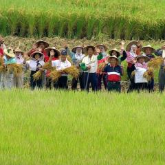 看见台湾 - m5qd2IW9ntD0s20QBshF35BDoUa.jpg