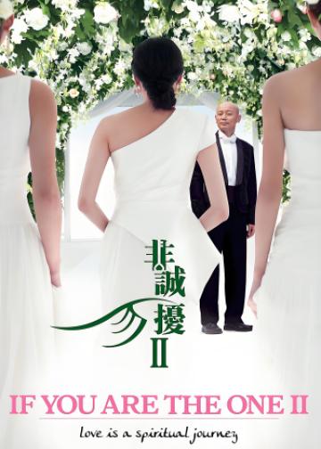 非诚勿扰2