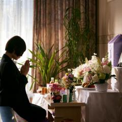 不朽的樱花 - rF6SCu6AQKQe2pBoeBWR5W8KHpp.jpg