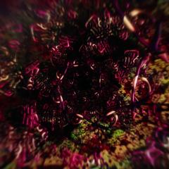 不能犯 - y4aFXk95IAowVsx6DBlEBuYNBE9.jpg