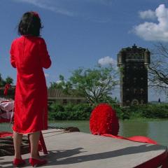 八两金 - C86kcQKcmQmOpV8IR4TyGdoXgL.jpg