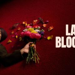 Late Bloomer - obCkndvMSsrZj6KJH7Uv5R9LZOO.jpg