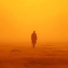 银翼杀手2049 - ilRyazdMJwN05exqhwK4tMKBYZs.jpg