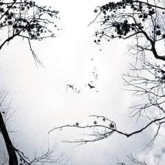 亡命感应 - esXYvlivZ8j0HGqob949CIjqnGi.jpg